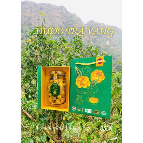 Trà hoa vàng thượng hạng 50gr
