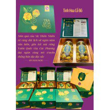 Tinh hoa Cố Đô - trà hoa vàng