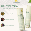 Hà Diệp Trà - CODY TEA