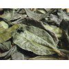 Lá chè già(Bancha), túi zip 100gr