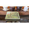 Hồng Lão Trà Mốc Giới 79,  hộp 100gr gồm  10 gói 10gr